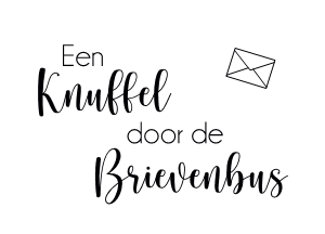 Voorbeeld