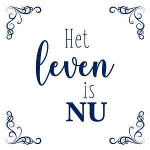 Voorbeeld